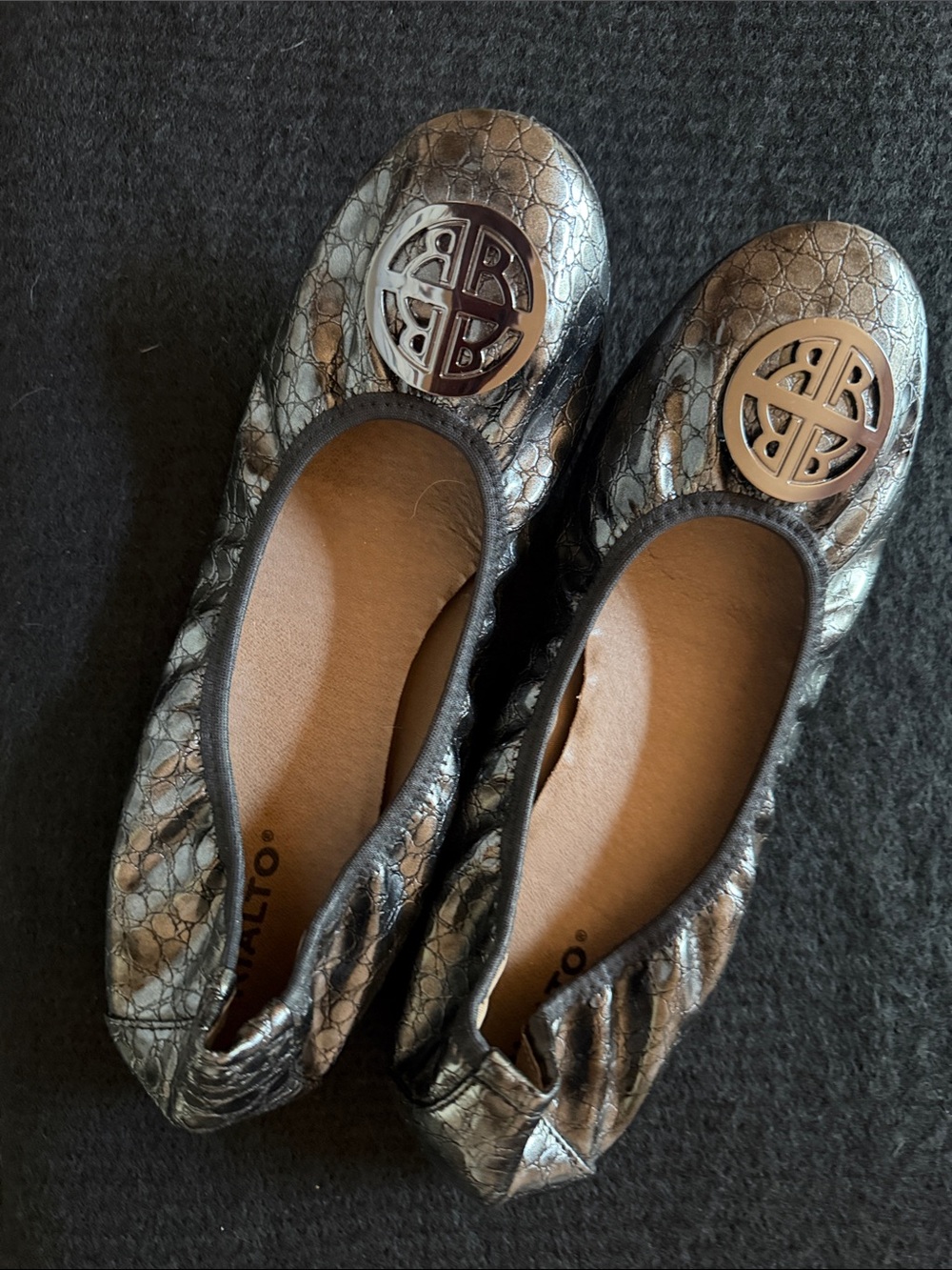 Rialto Metallic Pewter Croc-Embossed Ballet Flats with Logo Medallions